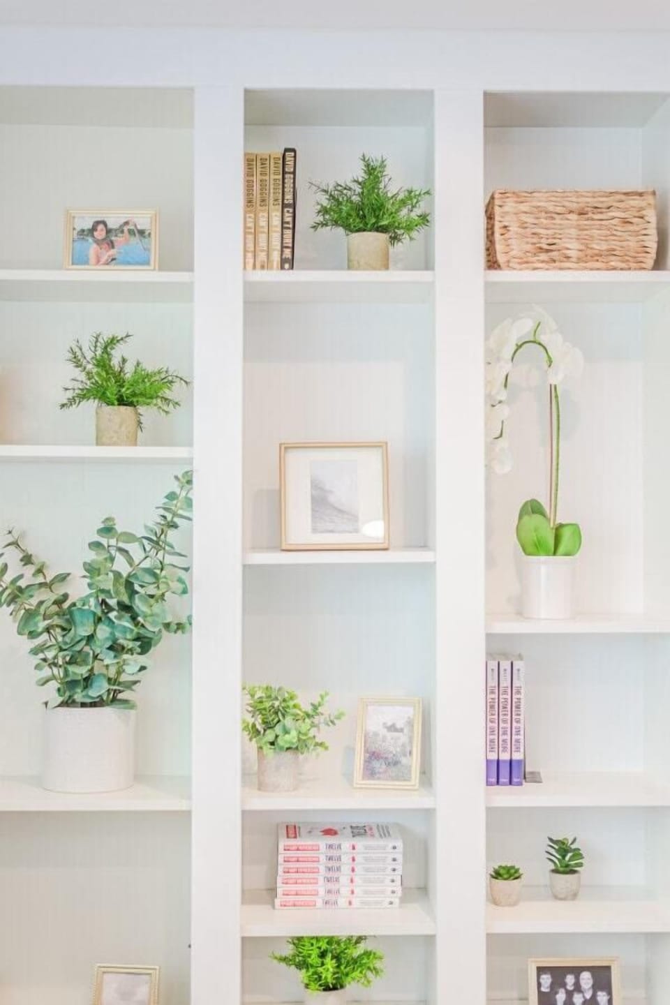 Beautifully styled shelves with a mix of greenery.