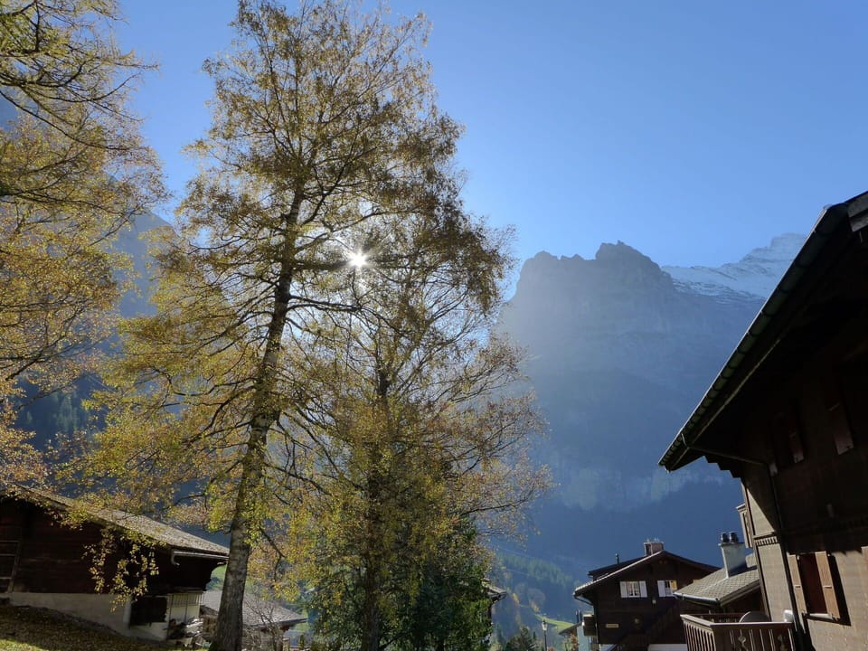 Sky, Building, Larch, Tree, Sunlight, Plant, House, Mountain, Cloud, Atmospheric Phenomenon