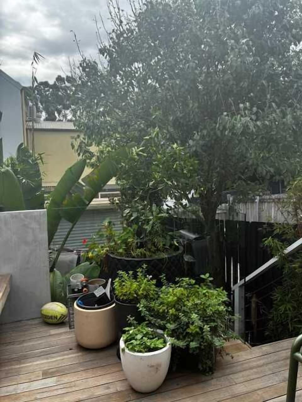 Cosy backyard