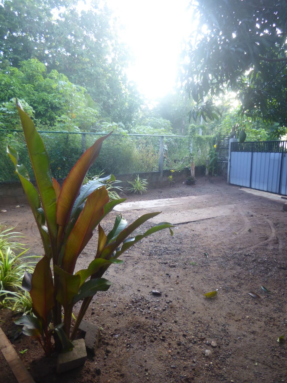 Property grounds