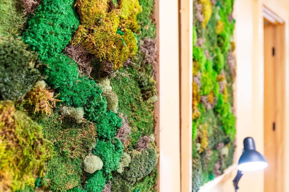 Beautifully detailed wall frames add character to the hallway.