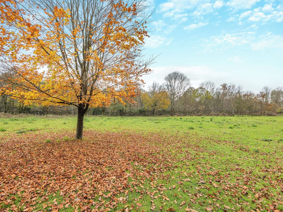 Surrounding area | Bohemia Cottage, Tunbridge Wells