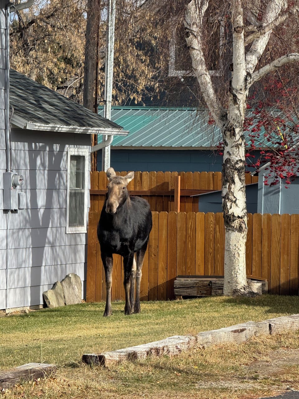 Property grounds