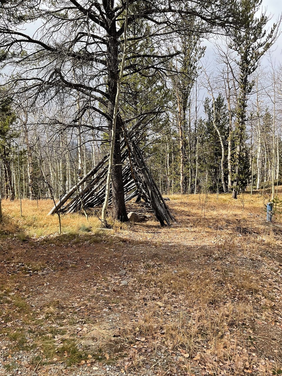 Previous guests built this fort..so much to explore on 5 gorgeous acres!