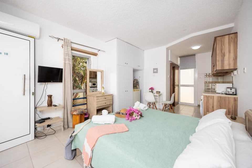 Studio apartment with double bed, dining area, kitchen, bathroom, A/C, WiFi internet, and satellite TV