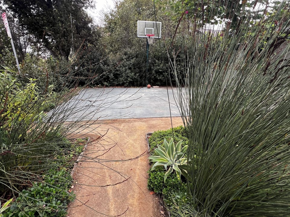 1/2 Basketball court