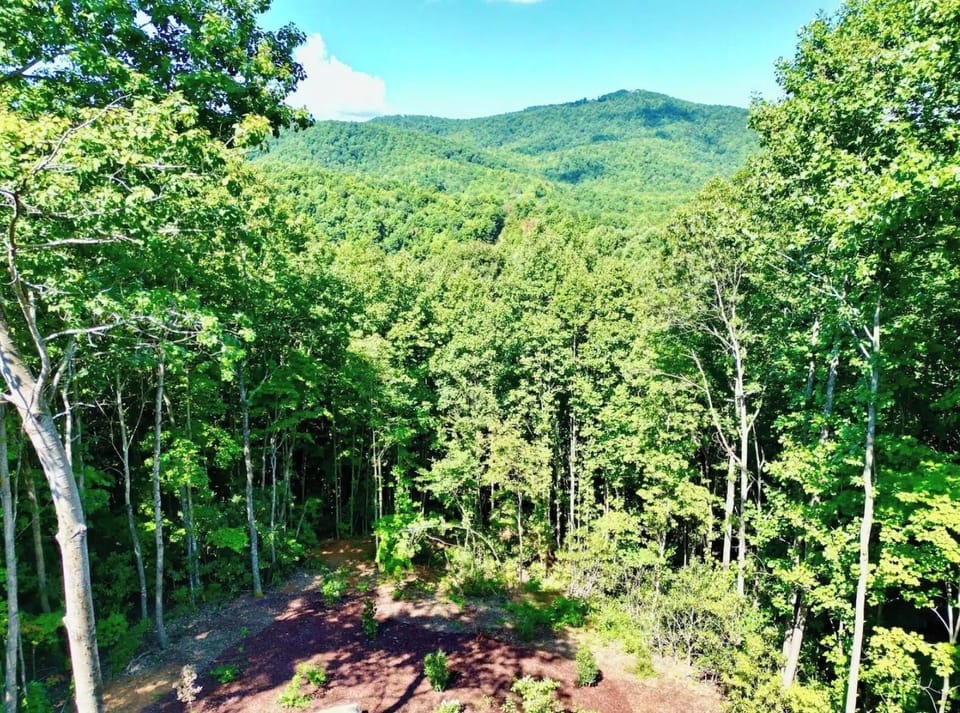 View from back deck