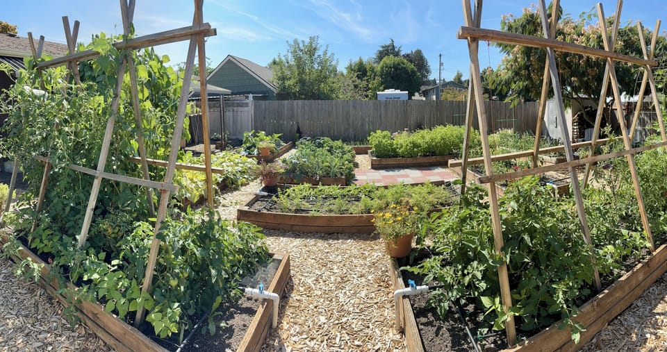 Summer garden , yum! Tomatoes, beans, jalapeños, melons, cucumbers - a little bit of everything!