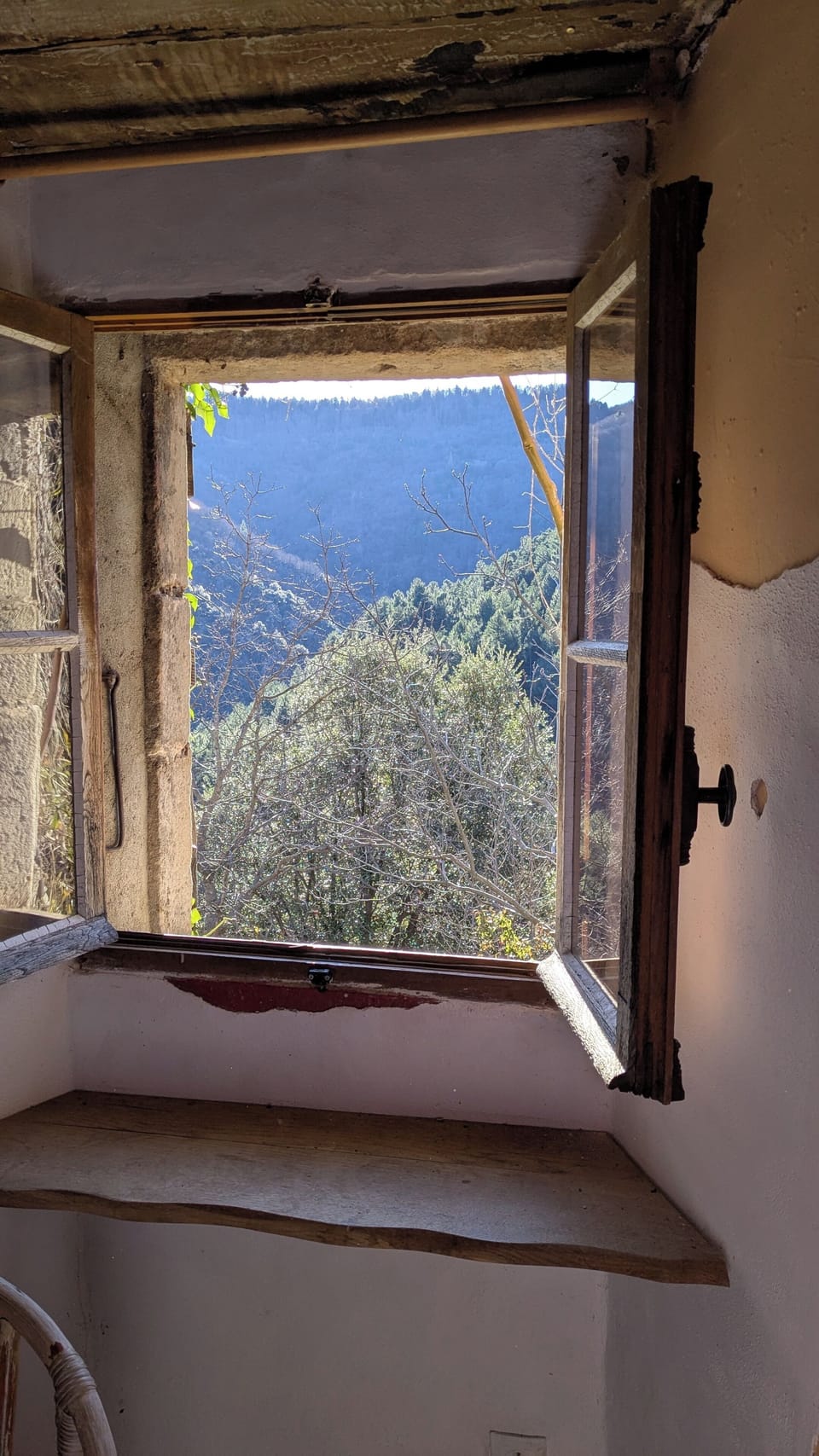 View from the window