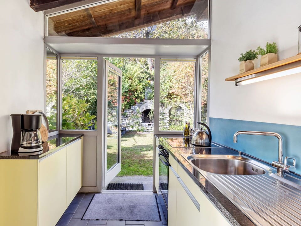 Plant, Kitchen Sink, Sink, Property, Tap, Countertop, Building, Houseplant, Wood, Interior Design