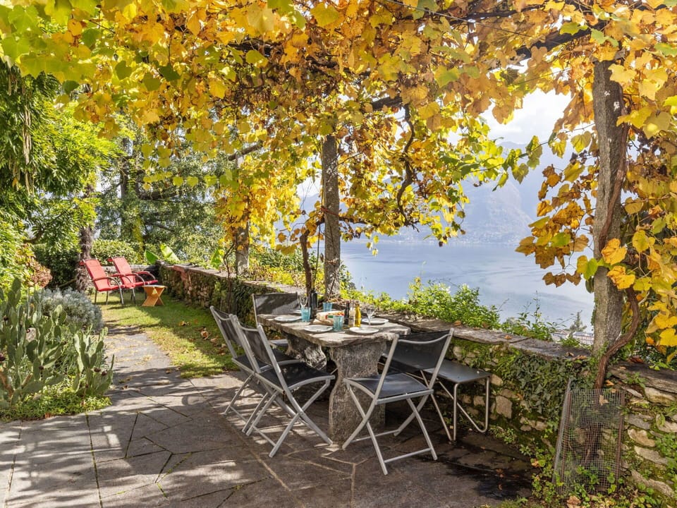 Plant, Water, Leaf, Natural Landscape, Table, Branch, Wood, Shade, Tree, Outdoor Furniture