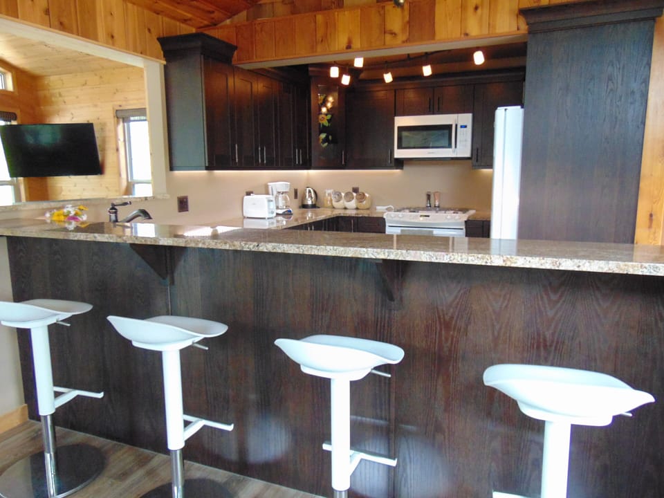 Main cabin kitchen