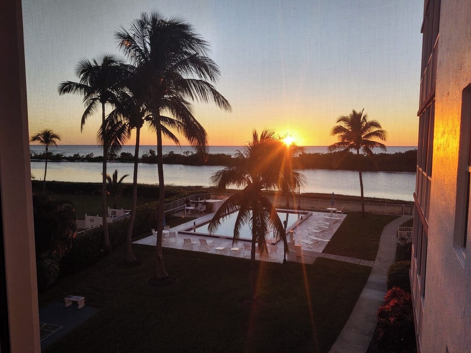 Island Reef’s pool is brand new - expected to be open to guests in mid-Jan'25!