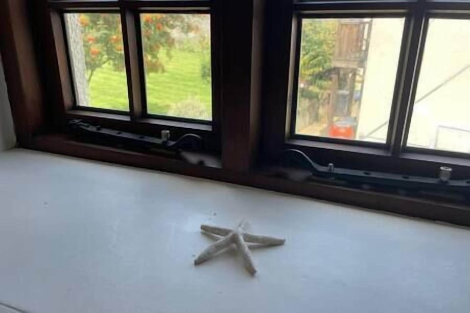 7f35f8db-a58d-4e95-b11c-beee099a2394