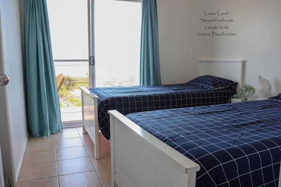 Lower level second bedroom