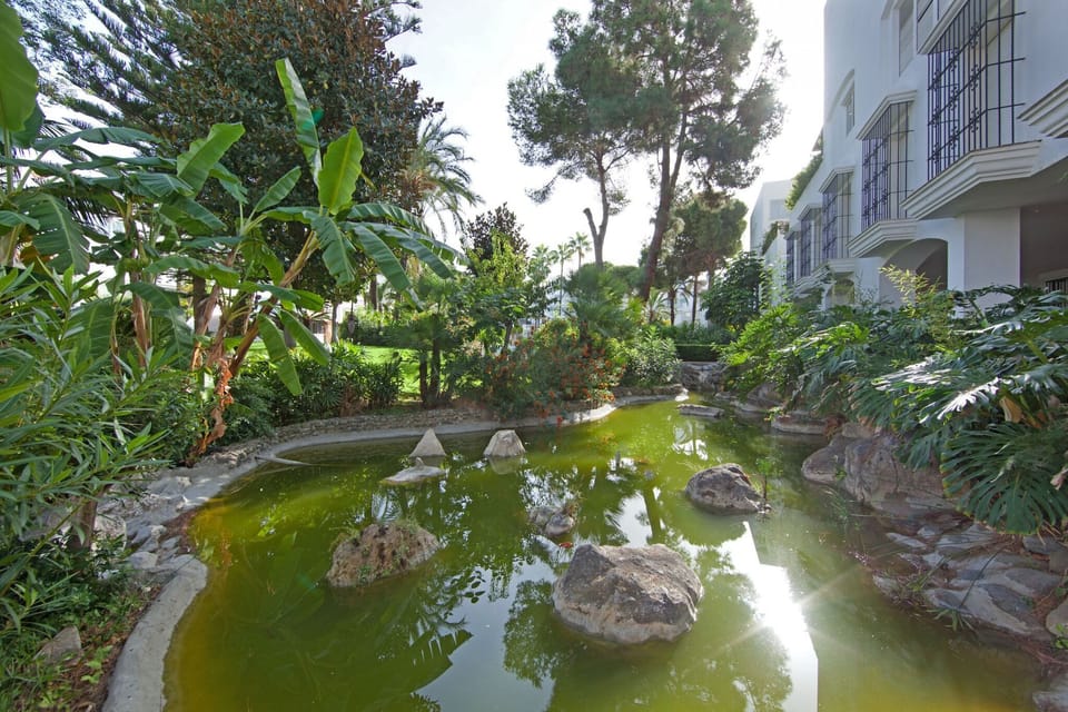 Garden [summer]