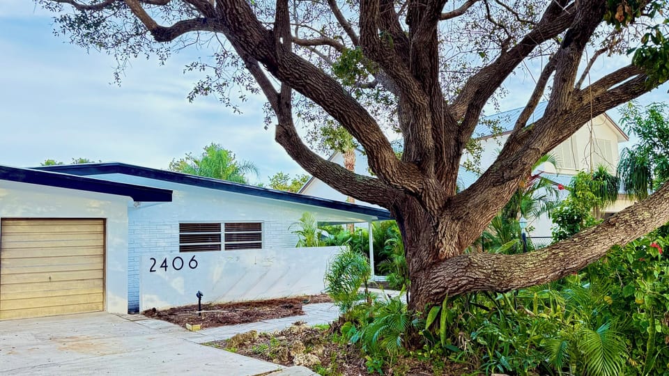Under the historic live oaks