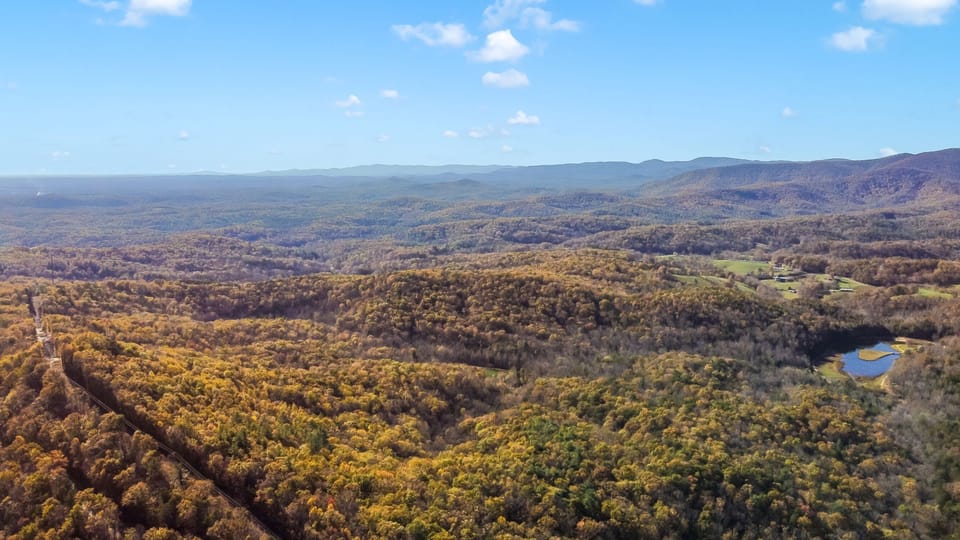 Aerial View of Surrounding Forest