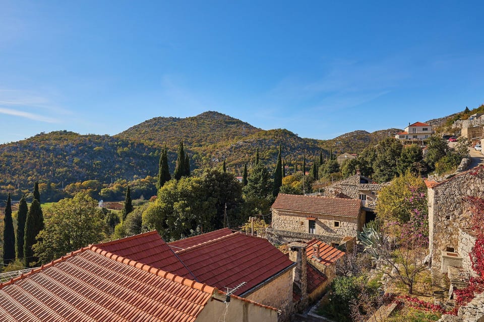 View from the property