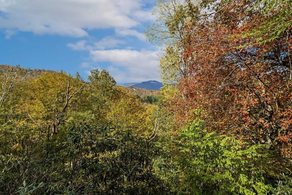 View From Sweet Dreams Are Made Of Skis