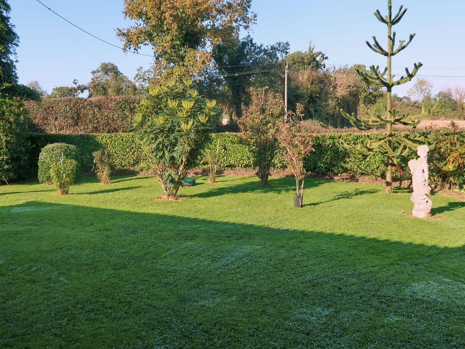 Outdoor