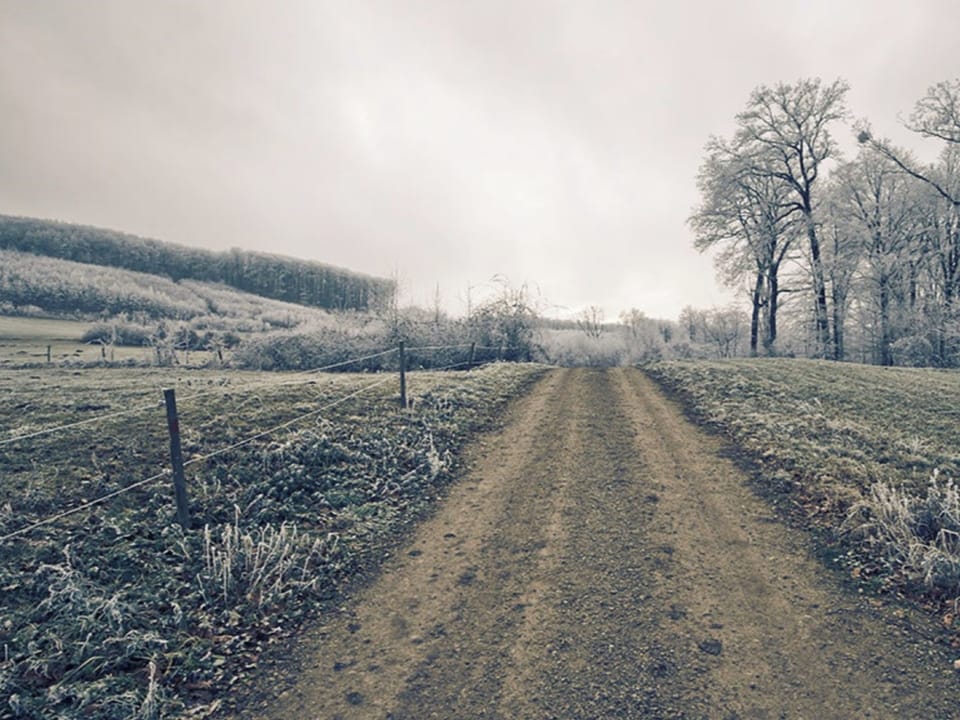 Region [winter] (>5 km)