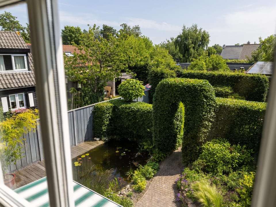Garden [summer]