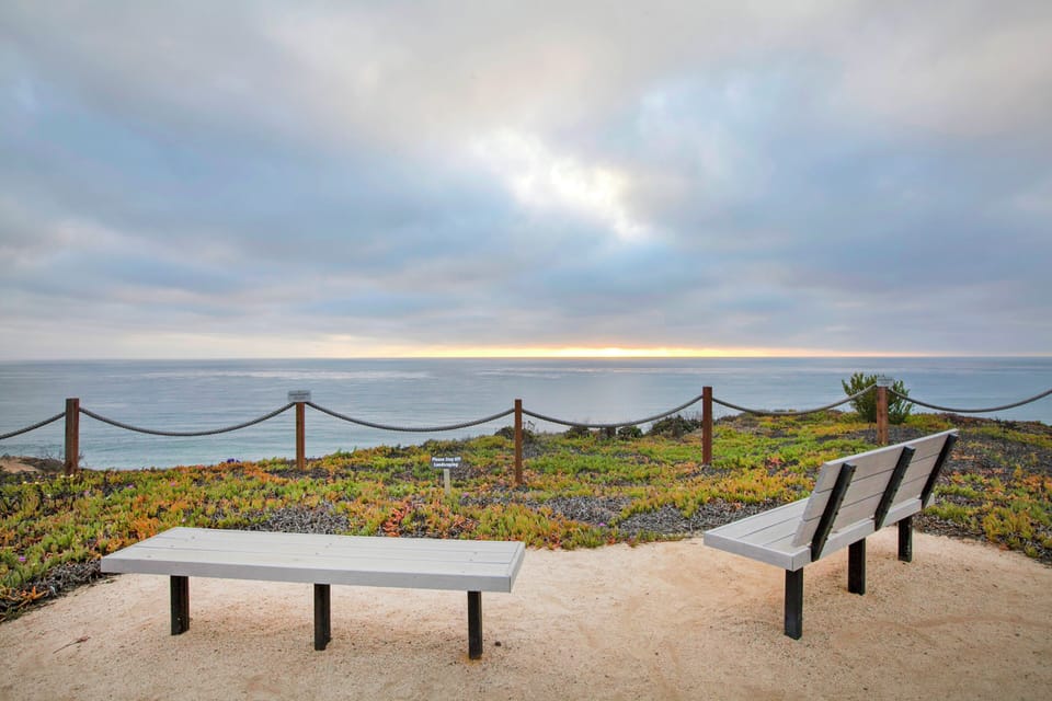 Beach View