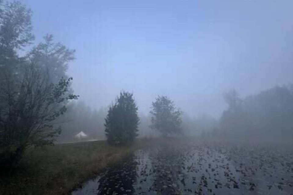 3c0ff658 2960 423e bf41 3cdadb879f57