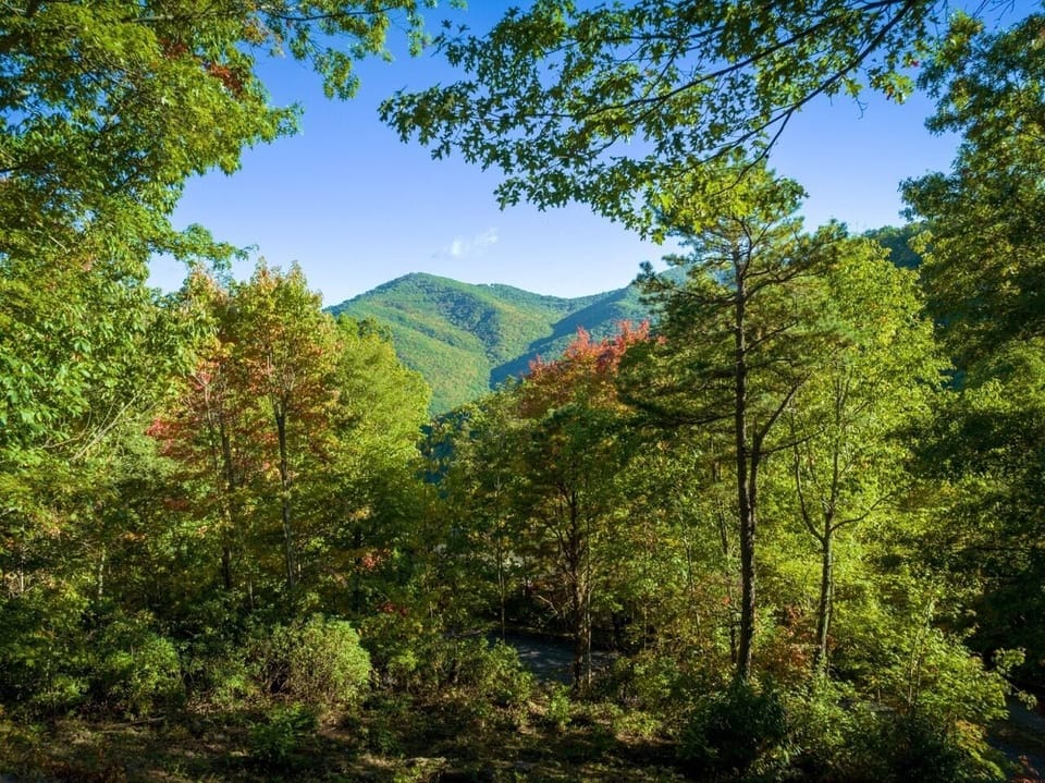 Beautiful mountain view framed by lush trees and clear blue skies.