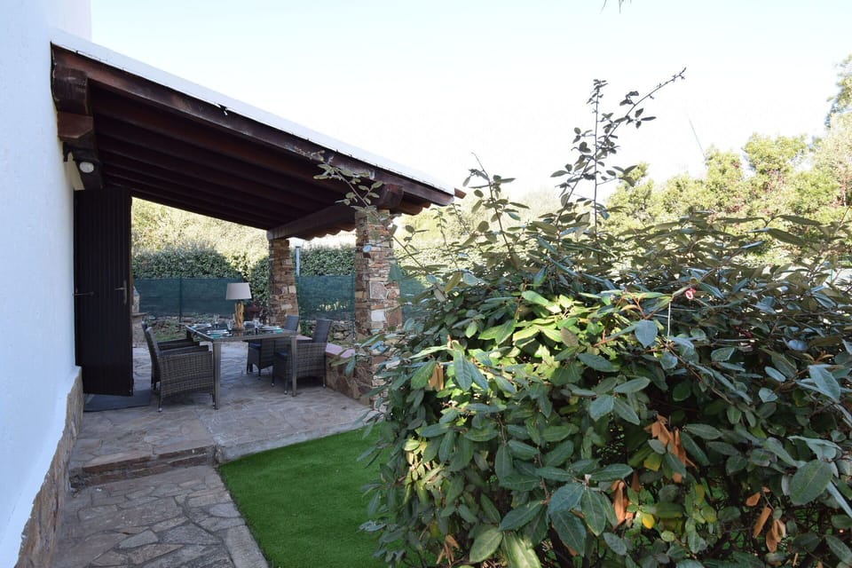 Autumn, Garden, Spring, Summer, Winter