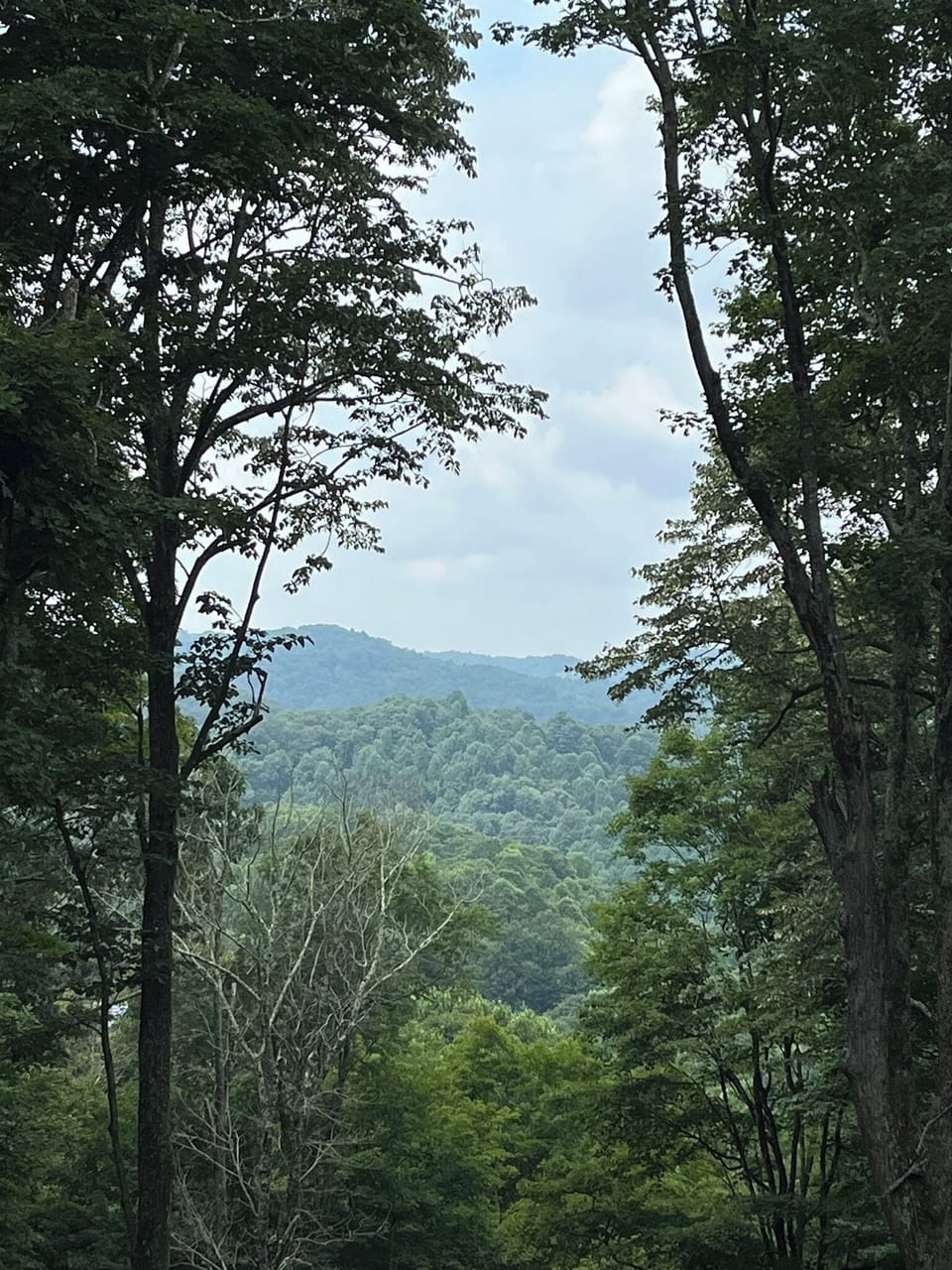 View from back deck