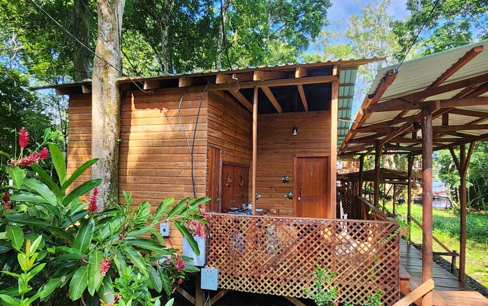 A nice cabin, take a break, have a good time, enjoy the nature that surrounds you.