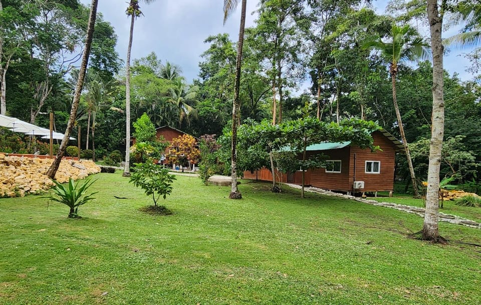 The grass outside the cabin. It’s a peaceful, untouched scene, the perfect setting for a moment of quiet reflection. Have fun  