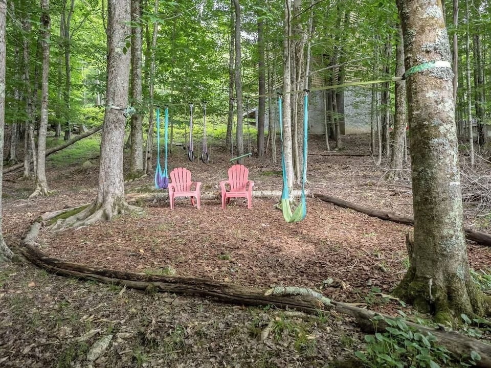 Fun Swing Area for Kids