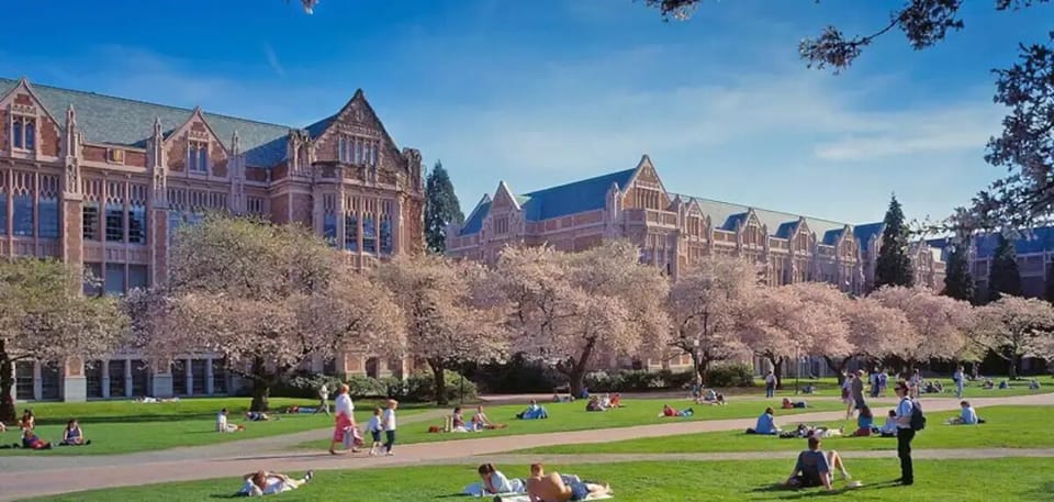 UW Campus in all it's Spring Glory! The famous Quad cherry blossoms