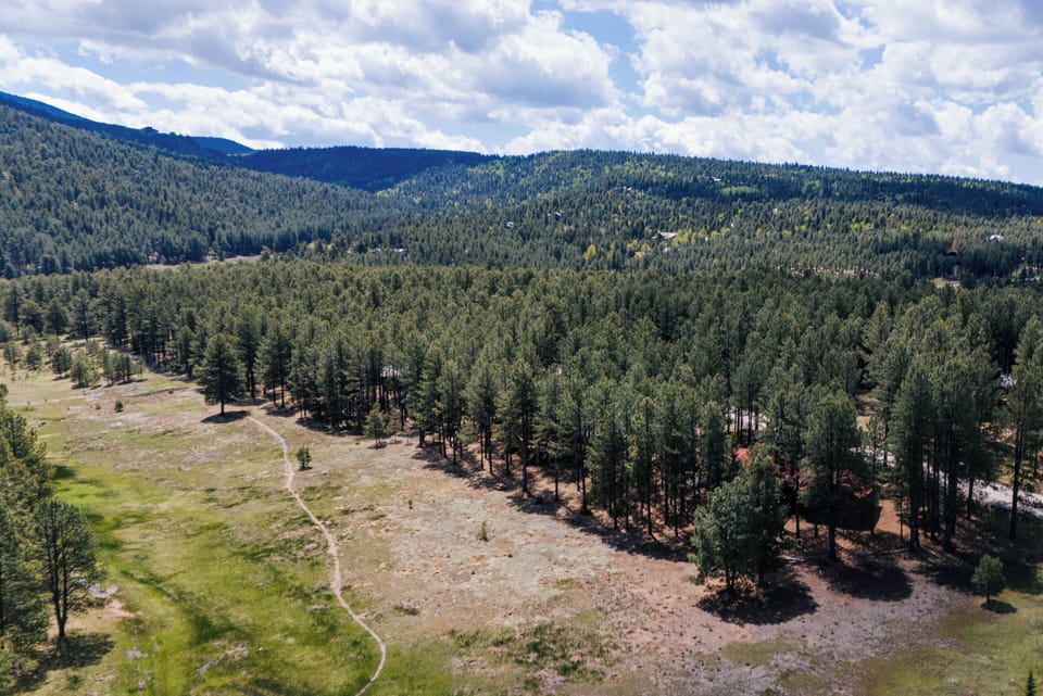 Cougar Trail