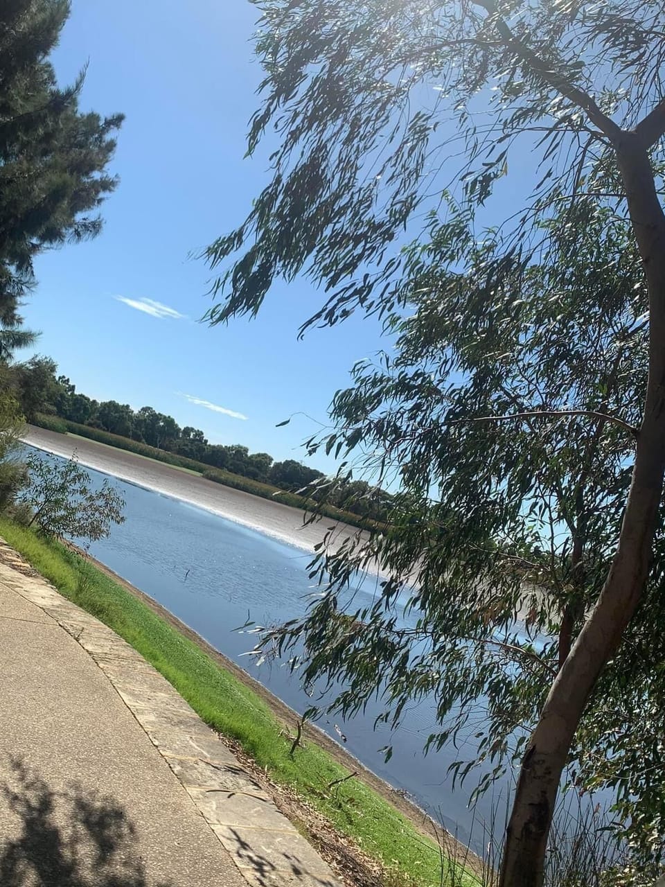 Feel free to stroll around the nearby lake.