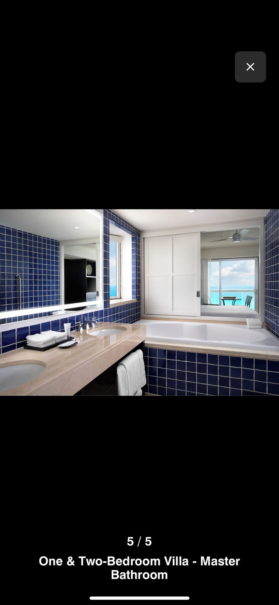 Shower, jetted tub, hair dryer, towels