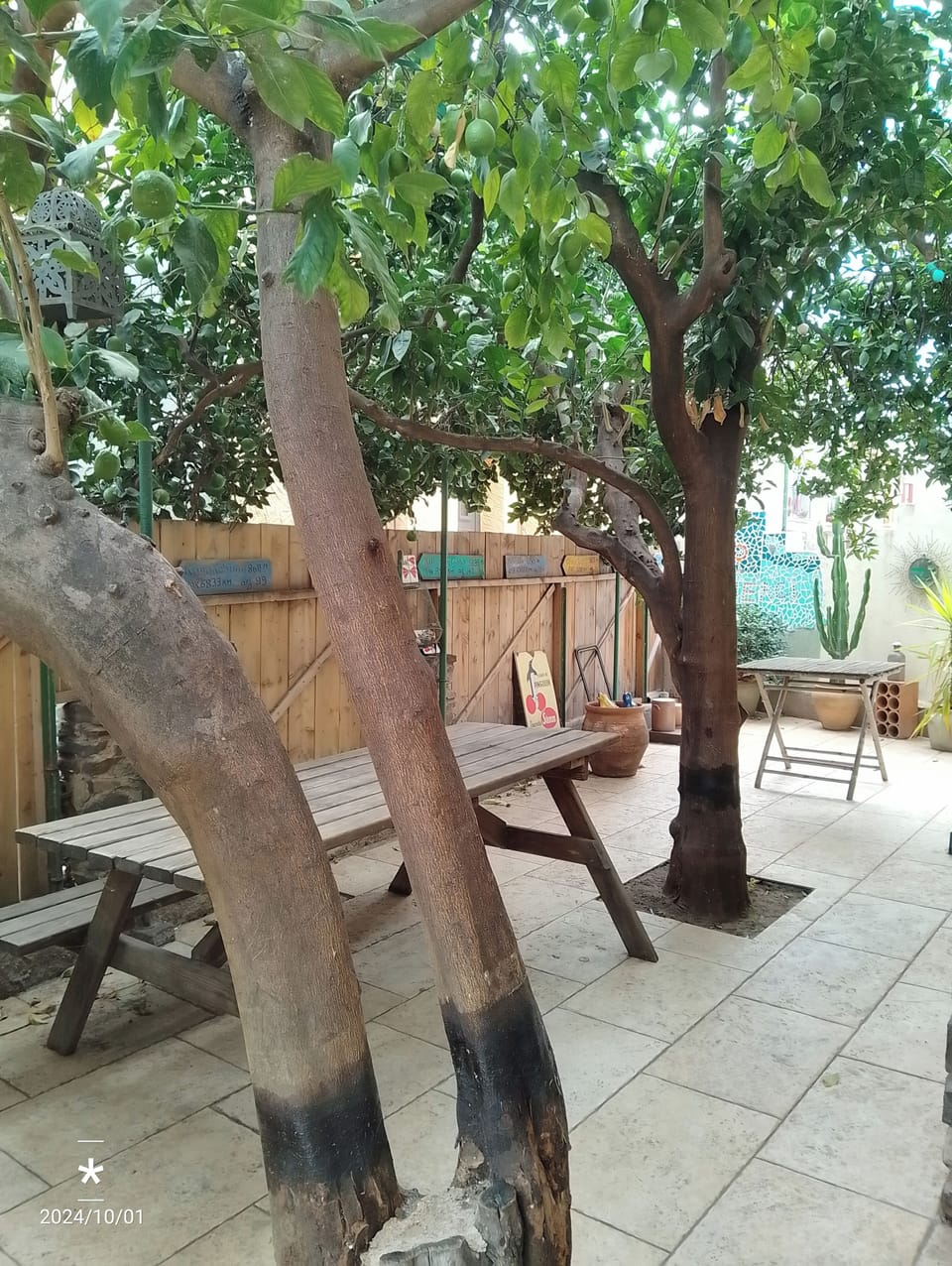 Terrace/patio