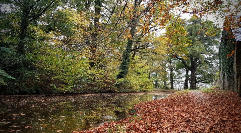 Nearby canal for walking, cycling or kayaking