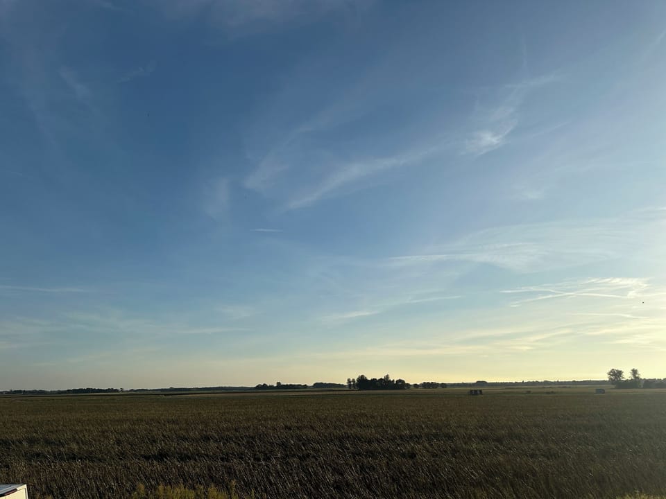 Miscellaneous