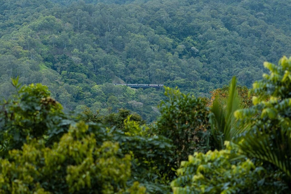 View from rear patio