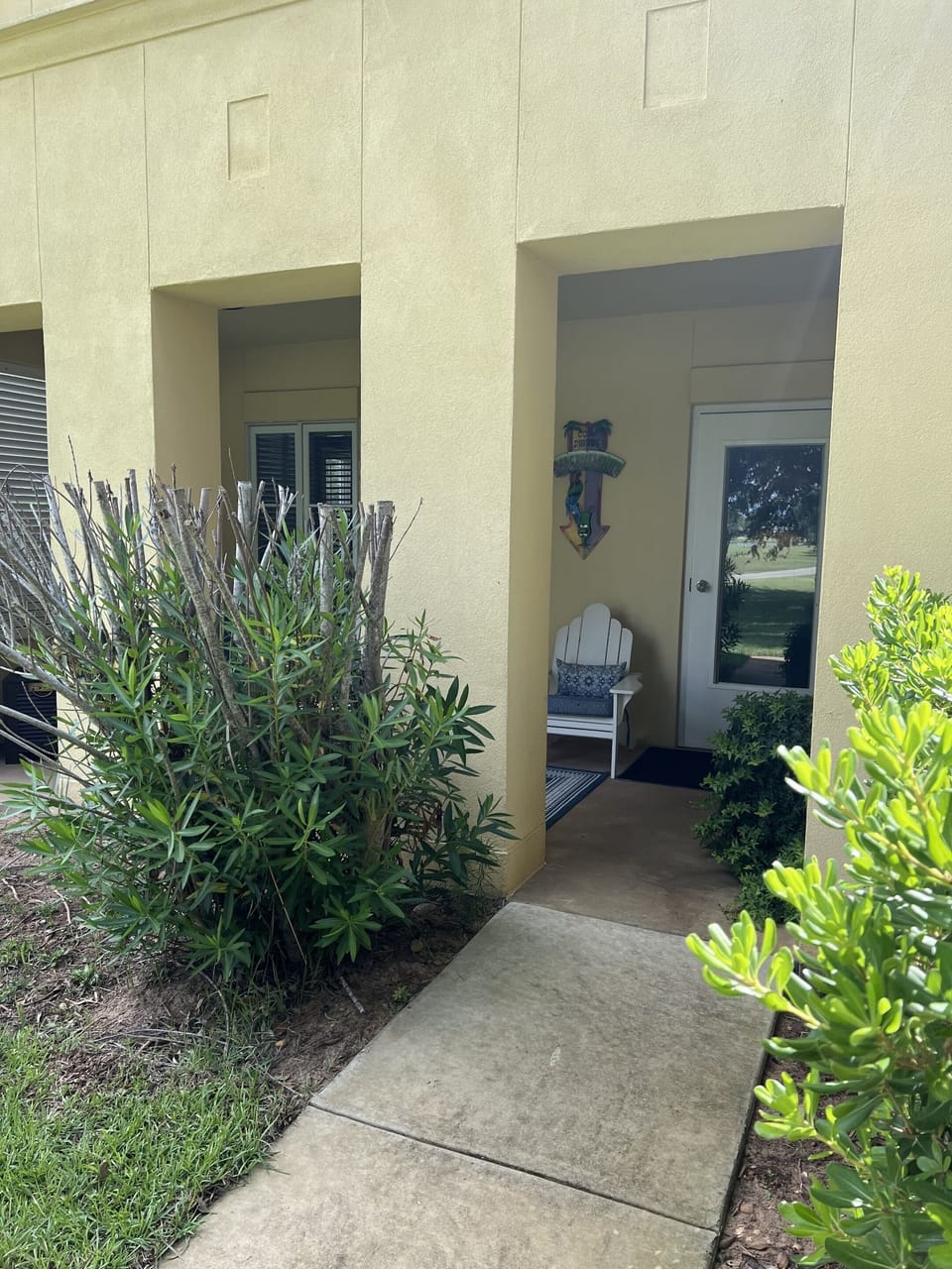 Terrace / Patio