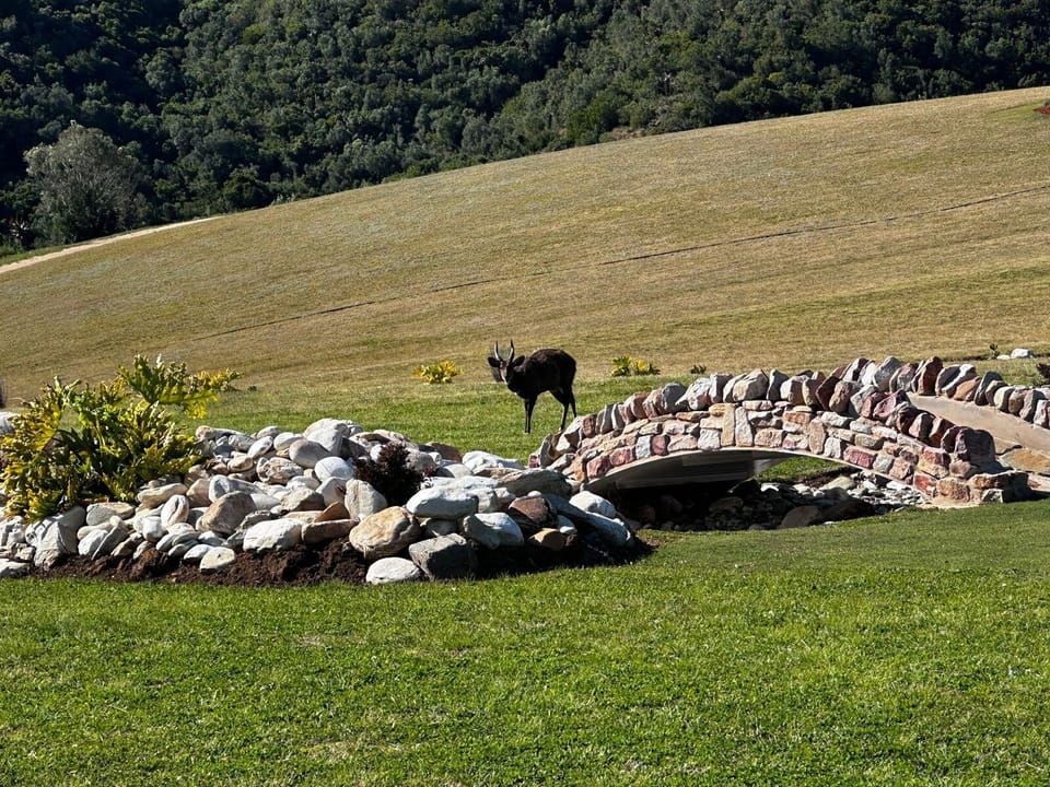 Image 23