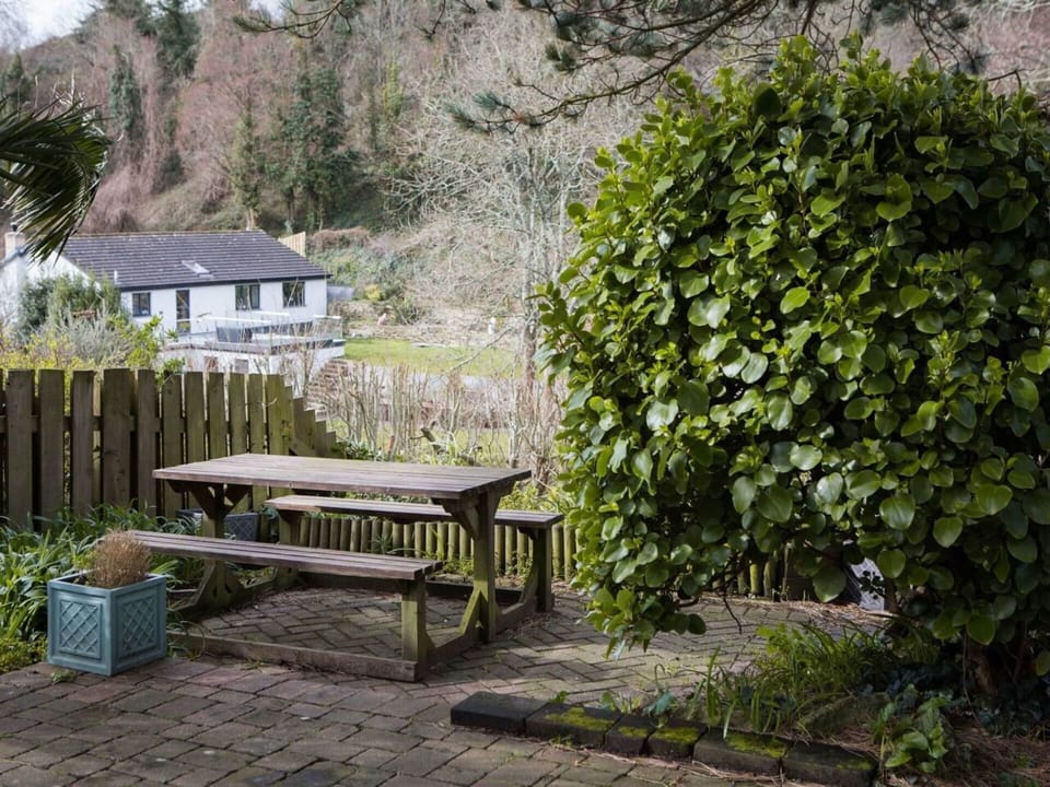 Plant, Outdoor Bench, Tree, Natural Landscape, Table, Outdoor Furniture, Wood, Grass, Building