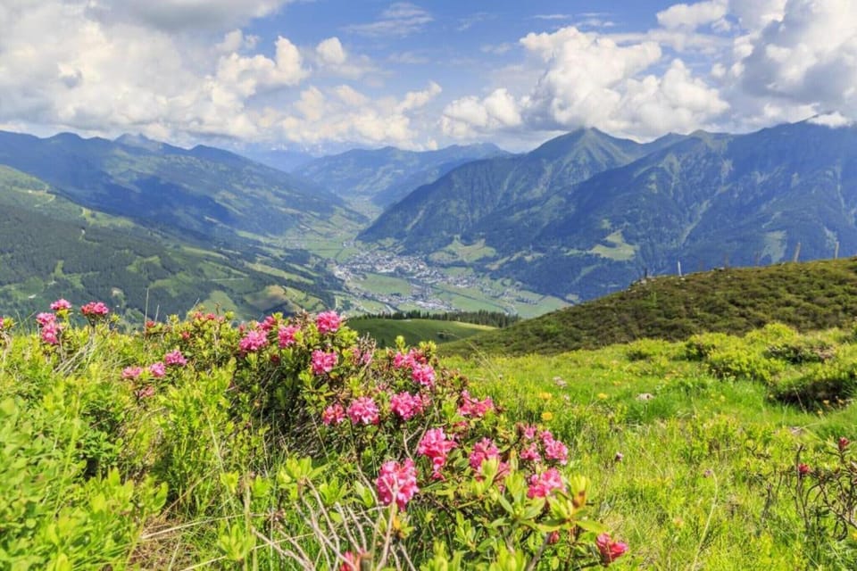Region [summer] (>5 km)