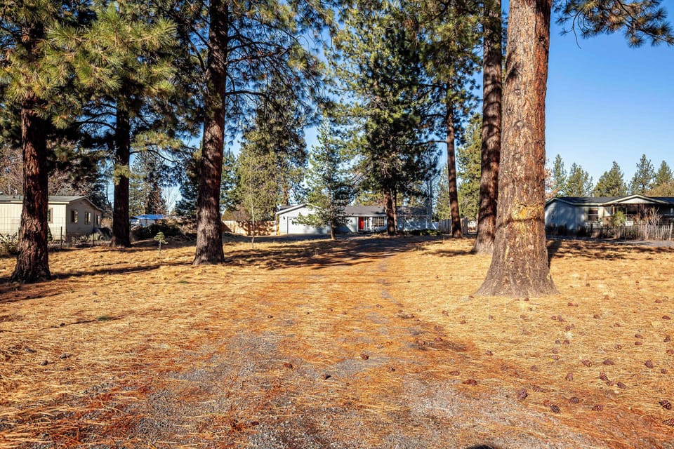 Large driveway with easy access and beautiful pine trees all around you. 