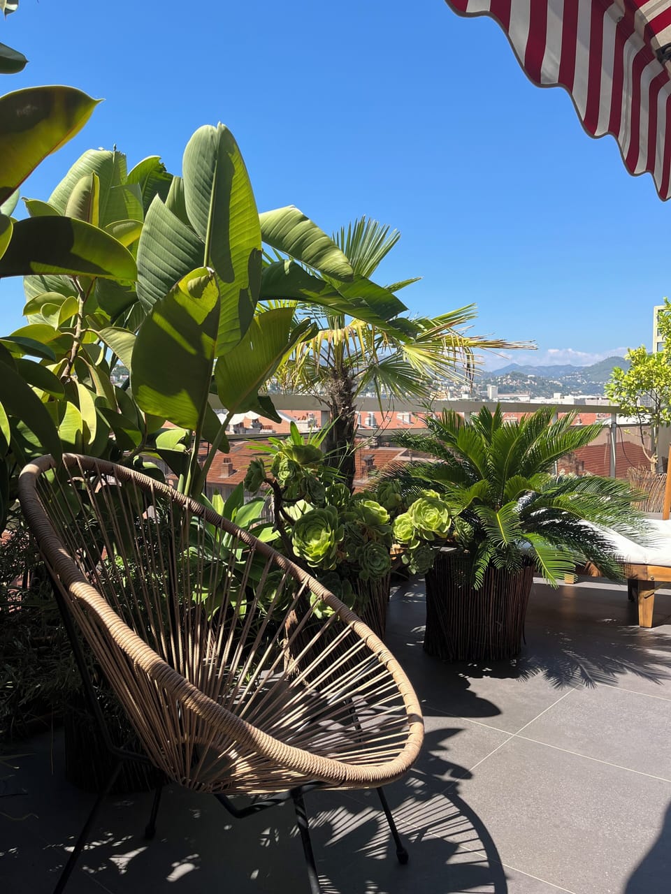 Terrace/patio