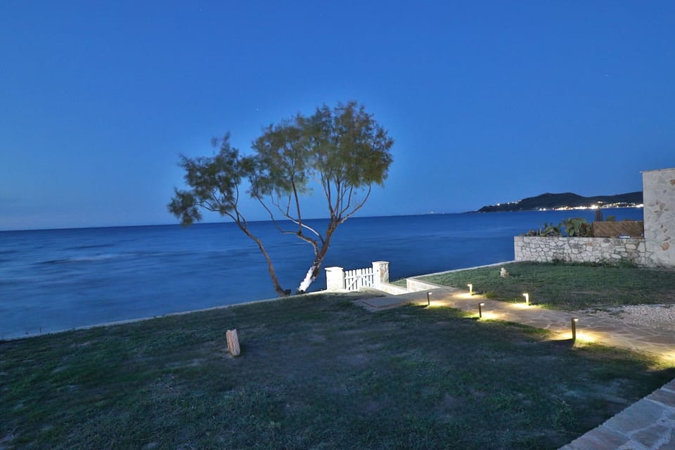 During the night 